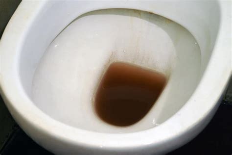 Brown water in toilet. Things To Know About Brown water in toilet. 